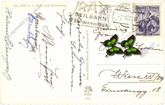 rax, blick zum schneeberg