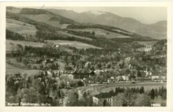 reichenau an der rax, ortsansicht