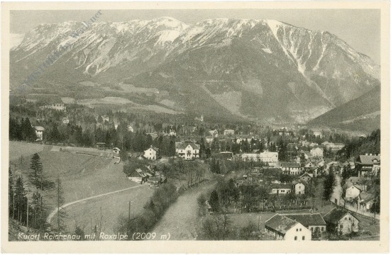 reichenau an der rax, ortsansicht