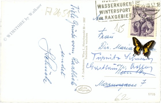 reichenau an der rax, ortsansicht