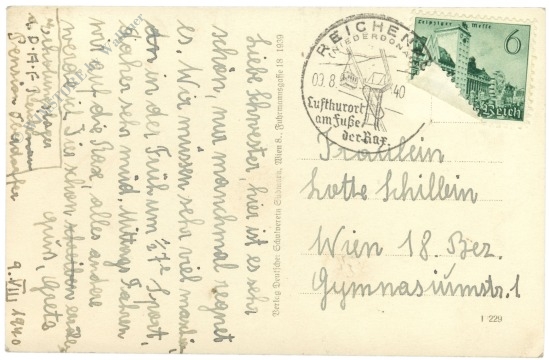 reichenau an der rax, ortsansicht