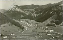 schwarzau im gebirge, mit falkenstein