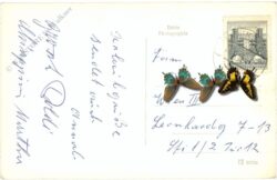 senftenberg, ortsansicht