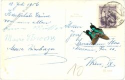 senftenberg, ortsansicht