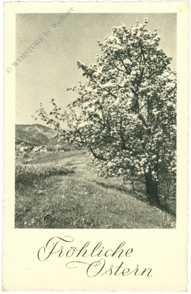 ostern blühender baum