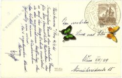 ostern blühender baum