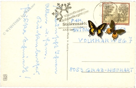 ostern lämmer am weg