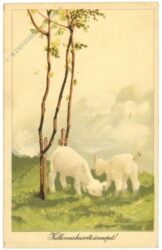 ostern lämmer