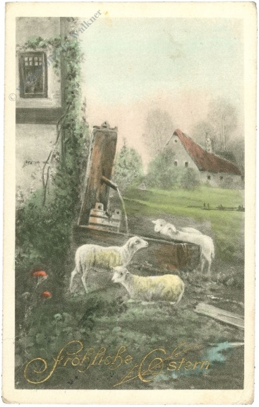 ostern schafe