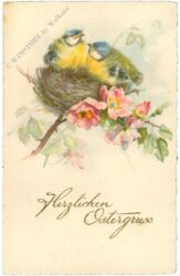 ostern brütende meisen am blühenden zweig