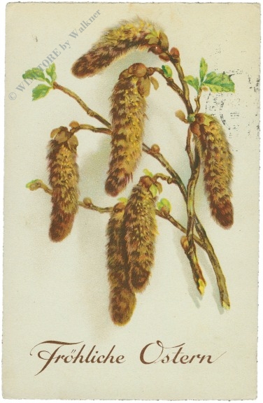 ostern birkenblüten
