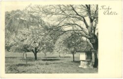 ostern blühende obstbäume