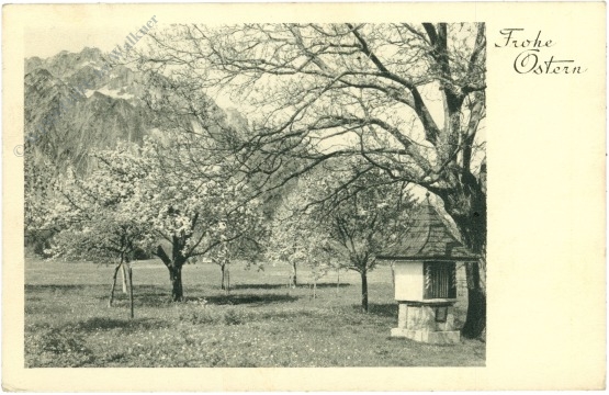 ostern blühende obstbäume