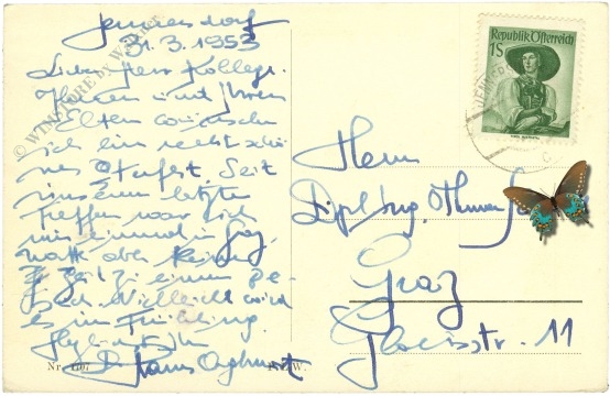 ostern blühende obstbäume