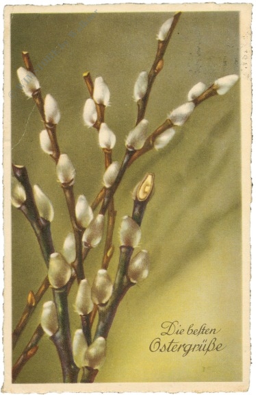 ostern palmkätzchen ostern palmkätzchen