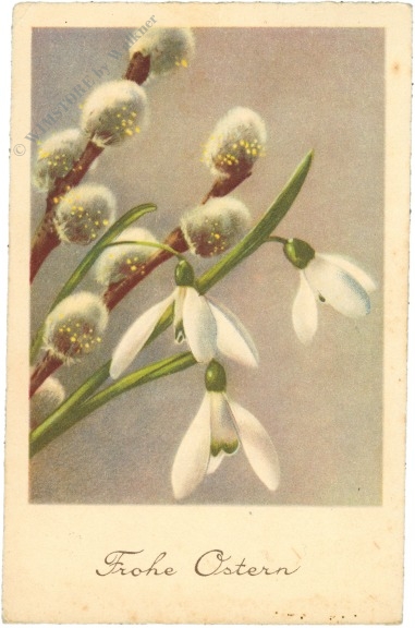 ostern schneeglöckchen ostern schneeglöckchen