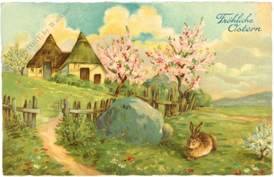 ostern hase am feld