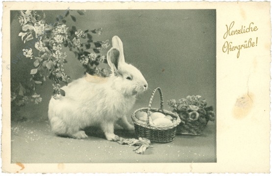 ostern hase mit korb