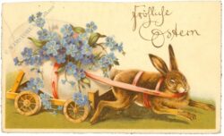 ostern hasenkutsche