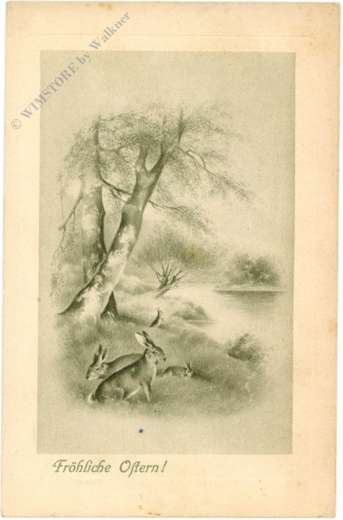 ostern hasen am feld
