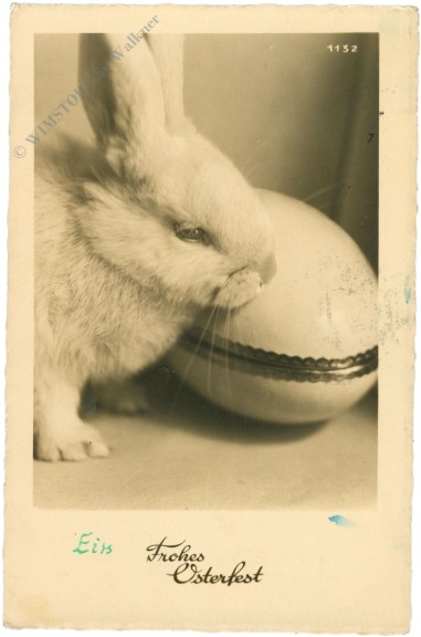 ostern hase