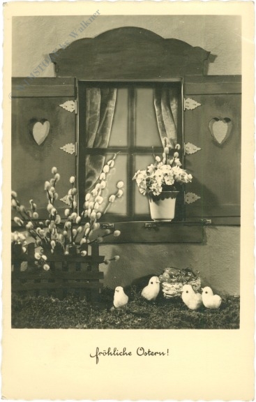 ostern küken vor dem fenster ostern küken vor dem fenster