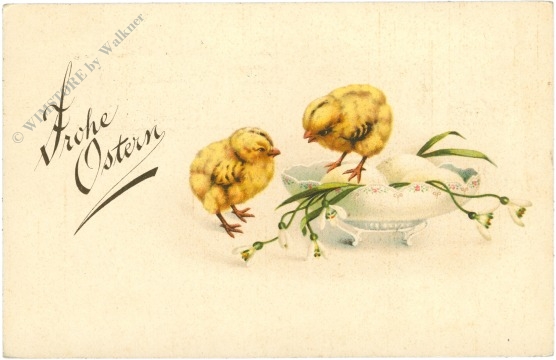 ostern küken in schale ostern küken in schale
