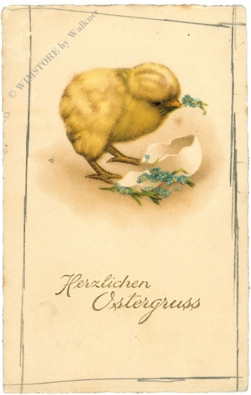 ostern küken mit zerbrochenem ei ostern küken mit zerbrochenem ei
