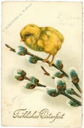 ostern küken auf weidenzweig