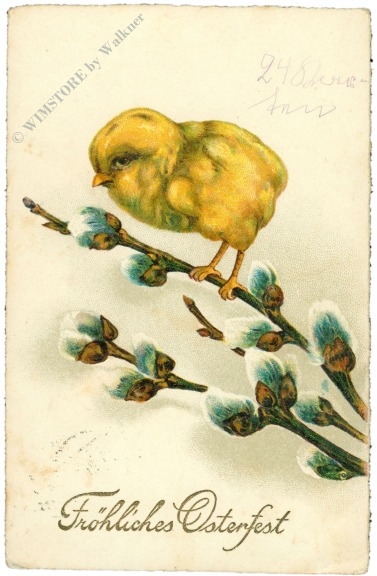 ostern küken auf weidenzweig ostern küken auf weidenzweig