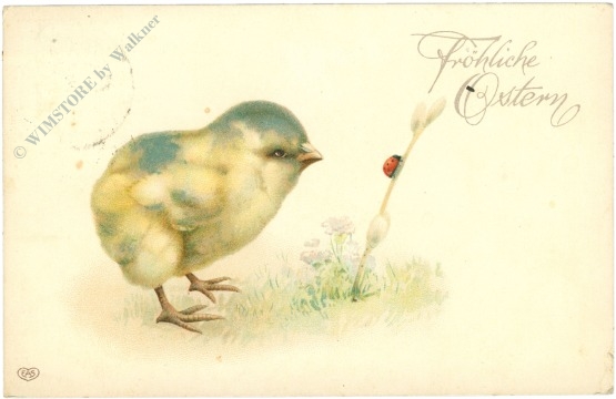 ostern küken beobachtet marienkäfer ostern küken beobachtet marienkäfer