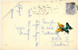ostern küken mit roller