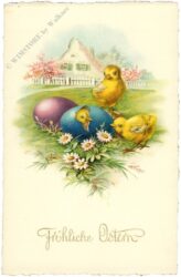 ostern küken mit eier