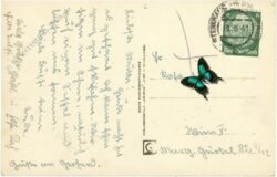 semmering, palace sanatorium gegen den sonnwendstein