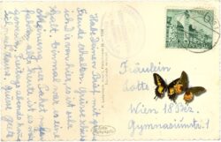 semmering, blick vom sonnwendstein