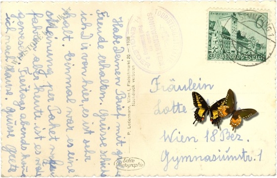 semmering, blick vom sonnwendstein