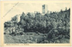 spitz an der donau, ruine hinterhaus
