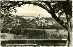 steinakirchen am forst, ansicht