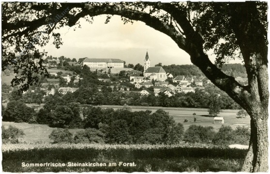 steinakirchen am forst, ansicht