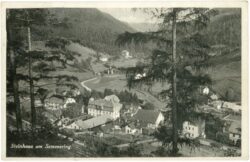 steinhaus am semmering, ortsansicht