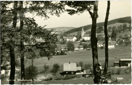 sulz im wienerwald, ortsansicht
