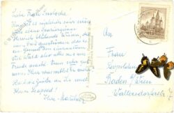 st. aegyd am neuwalde, mit göller