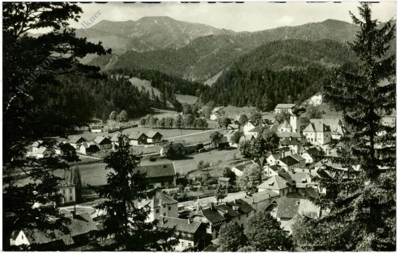 st. aegyd am neuwalde, ortsansicht