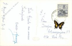 st. aegyd am neuwalde, ortsansicht