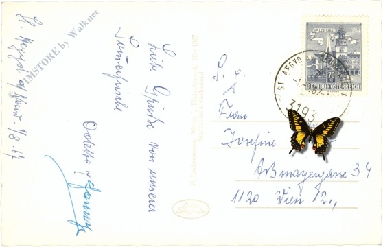 st. aegyd am neuwalde, ortsansicht