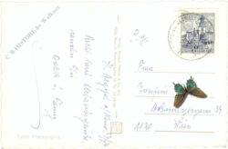 st. aegyd am neuwalde, ortsansicht