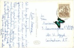 st. aegyd am neuwalde, ortsansicht