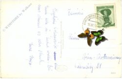 st. corona am wechsel, mit schneeberg