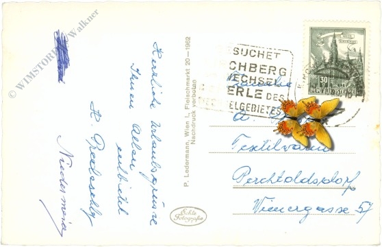 st. corona am wechsel, blick auf kirchberg mit schneeberg