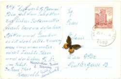 st. corona am wechsel, lourdesgrotte in der wallfahrtskirche